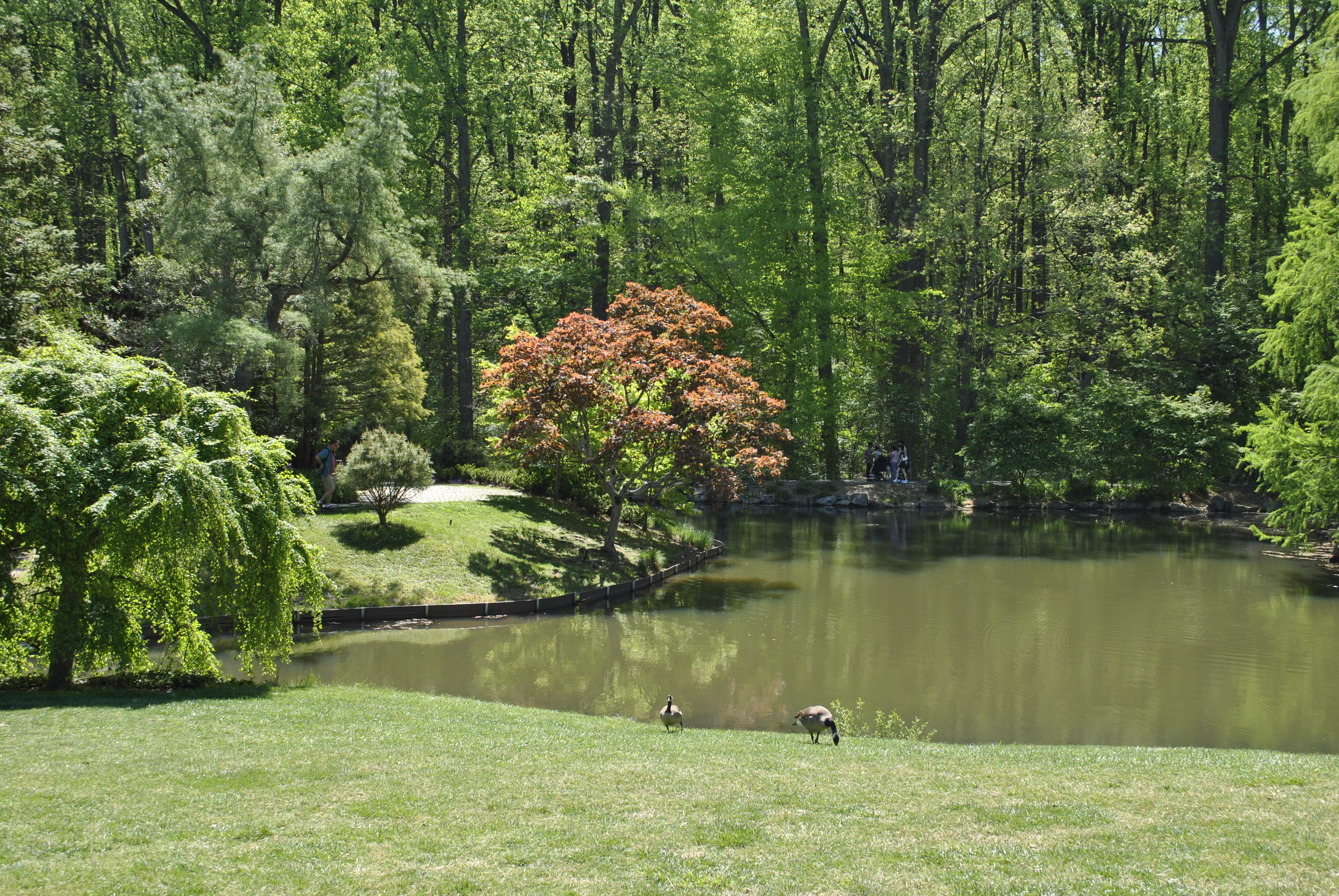 Brookside Gardens